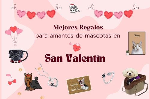 regalos San Valentín para amantes de malteses