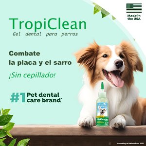 Parafarmacia para perros Bichón Maltés 3 tropiclean gel antisarro antiplaca para perros