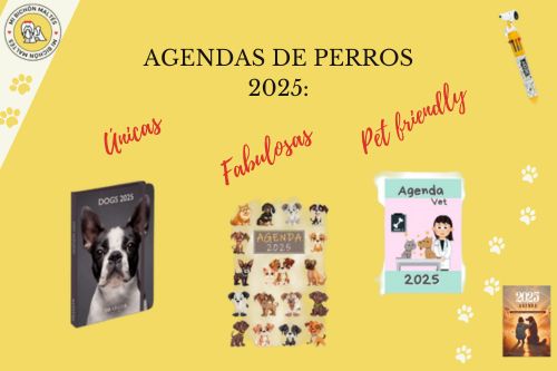 mejores agendas de perros 2026 originales