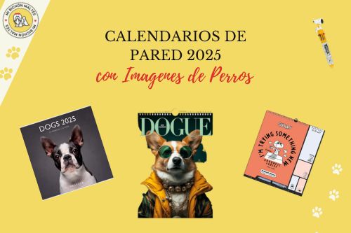 mejores calendarios de pared de perros 2026