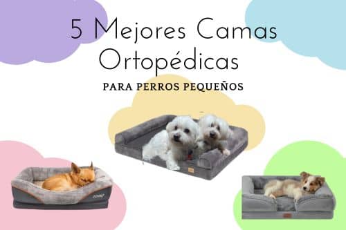 5 mejores camas ortopedicas para perros pequenos