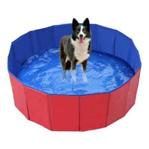 piscina verano pequeña para perros amazon