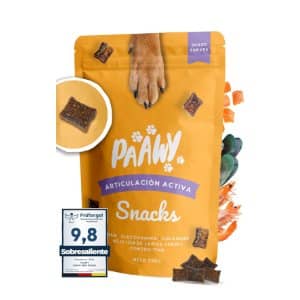 Suplementos Alimenticios: Mejora la Salud de tu Perro Bichón Maltés 6 condoprotector perros amazon