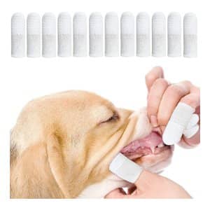 Higiene Dental del Perro Bichón Maltés 8 pack dedales dentales para perros amazon