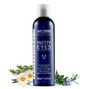 ¿Cómo es un Cachorro de Perro Bichón Maltés? 9 Artero Pretty Eyes mejor limpiador ojos perros