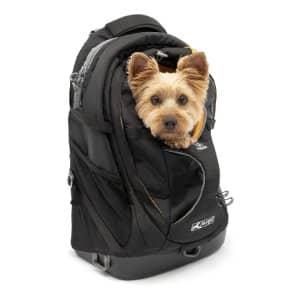 Mejores Mochilas para Bichón Maltés: Comparativa y Guía 25 mejor mochila senderismo perro profesional amazon