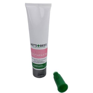 ¿Cómo es un Cachorro de Perro Bichón Maltés? 7 mejor pasta de dientes para cachorros