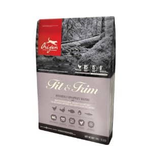 10 Mejores Piensos Naturales para Perros Pequeños 6 orijen fit trim pienso sin cereales para perros mayores