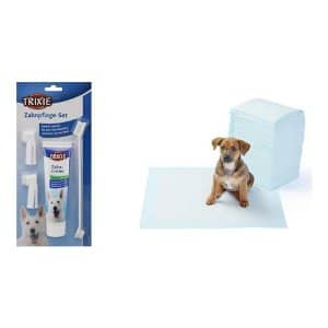 Higiene Dental del Perro Bichón Maltés 7 pack cuidado dental perros amazon