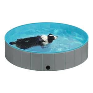 piscina barata para perros pequeños