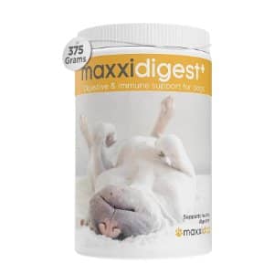 Suplementos Alimenticios: Mejora la Salud de tu Perro Bichón Maltés 17 probioticos digestiivas perros amazon