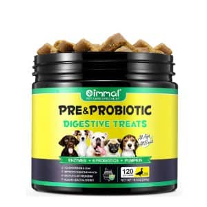 Suplementos Alimenticios: Mejora la Salud de tu Perro Bichón Maltés 16 Probióticos para perros digestion