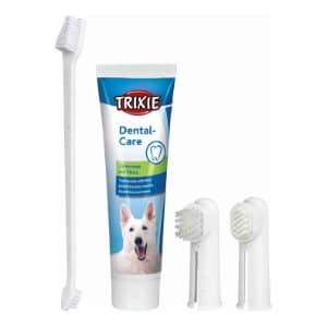 Higiene Dental del Perro Bichón Maltés 4 pasta dental perros trixie