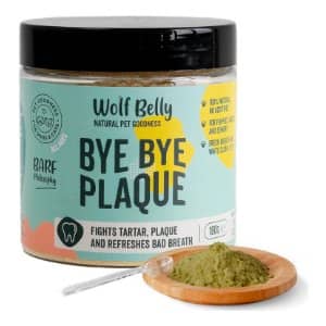 Suplementos Alimenticios: Mejora la Salud de tu Perro Bichón Maltés 11 by by plaque polvos antisarro perros