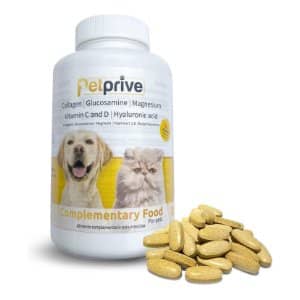 Suplementos Alimenticios: Mejora la Salud de tu Perro Bichón Maltés 10 suplemento condoprotector perros con levadura de cerveza