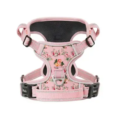 heele arnes bonito para perros bixon maltes