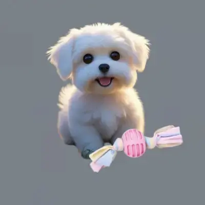 Tienda Online Mi Bichón Maltés 13 mejores juguetes para bichon maltes