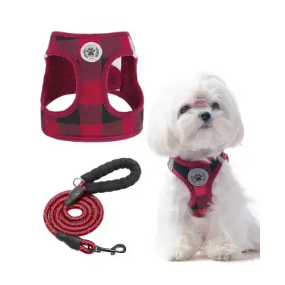 BEAUTYZOO Juego arnés y correa para perros pequeños sin calza tirones