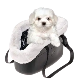 Mejores Bolsos para Llevar Bichón Maltés 7 ferplast mejor bolso para llevar bichon maltes