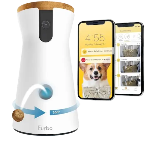 Mejores Comederos para Perros Bichón Maltés 12 furbo camara para perros