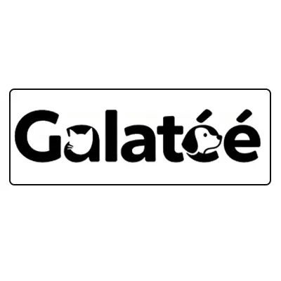 Ropa para Perros Bichón Maltés 5 galatee marca de ropa perros bichon maltes