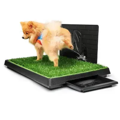 Productos Higiene para Perros Bichón Maltés 28 Hompet Inodoro para perros césped artificial con bandeja uso interior exterior