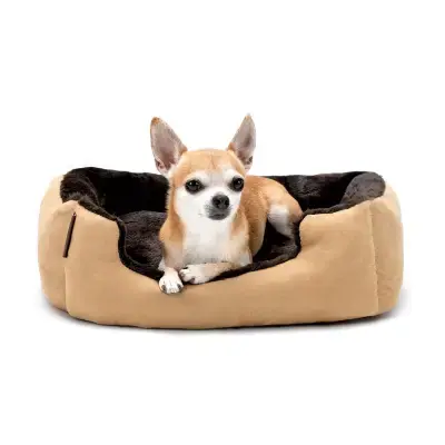 lionto cama para perros maltes cachorros amazon