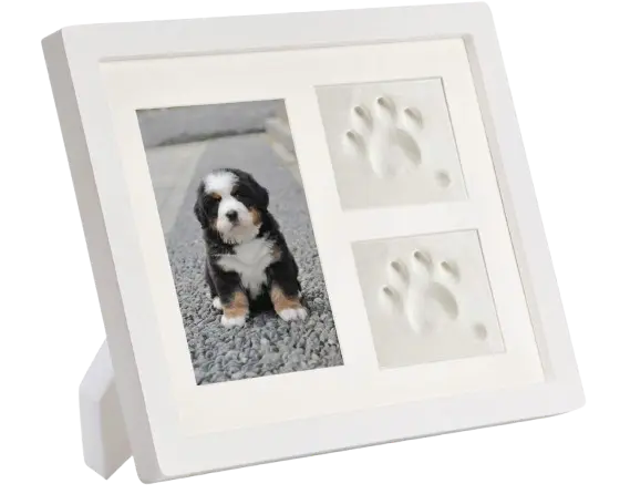 Accesorios Personalizados para Perros Bichón Maltés 8 marco foto perro y su huella