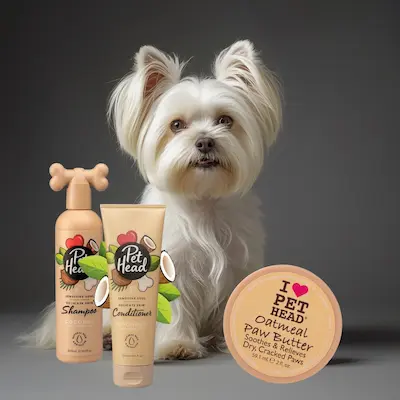 Productos de Cosmética para Bichón Maltés 9 mejores marcas de cosmetica para bichón maltés amazon