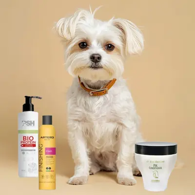 Mejores Acondicionadores para Bichón Maltés 9 mejores marcas de suavizantes para perros Bichón Maltés