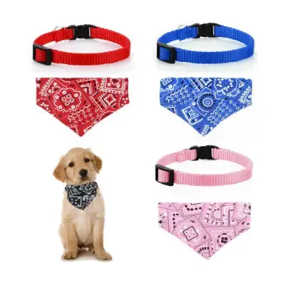 Ropa para Perros Bichón Maltés 36 Molain 4 Collares originales para mascotas con bandana