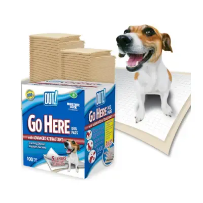 Productos Higiene para Perros Bichón Maltés 37 OUT Almohadillas de entrenamiento para perros