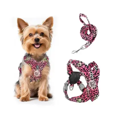 Pawaboo Arnés cachorro con correa acolchado de forma X varios colores