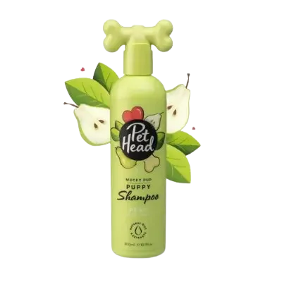 Mejores Champús para Bichón Maltés 8 pet head mejor champu para cachorros perros aroma de pera