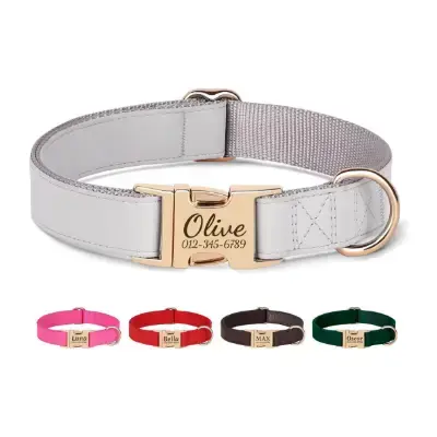 pet artist Collar de nailon para perros personalizado
