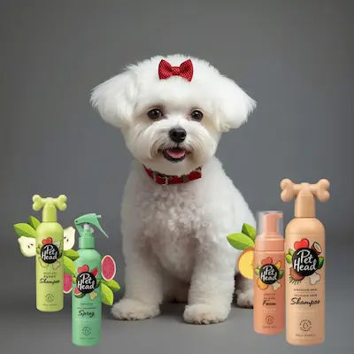 Mejores Champús para Bichón Maltés 9 pet head marca mejores shampoos para perros maltes