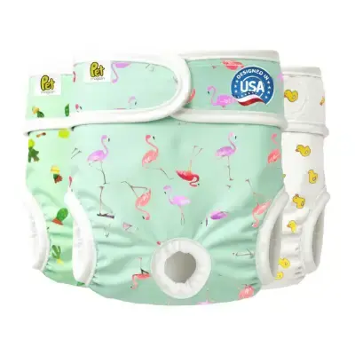 Productos Higiene para Perros Bichón Maltés 33 Pet Magasin Pañales reutilizables para perros extra pequeños