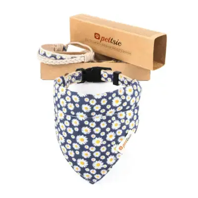 Ropa para Perros Bichón Maltés 34 Pettsie Collar para perros con bandana y brazalete