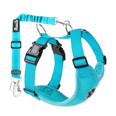 Tienda Online Mi Bichón Maltés 38 slowtwn mejor arnes con cinturon perro auto amazon