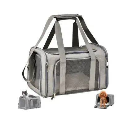 Tienda Online Mi Bichón Maltés 36 toffcaea mejor transportin para perros pequeños