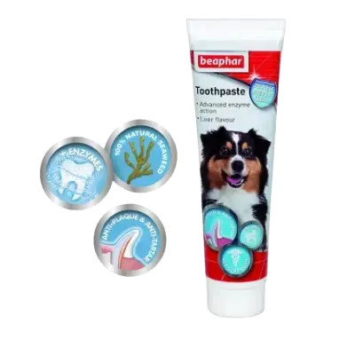 Productos Higiene para Perros Bichón Maltés 8 beaphar pasta dientes enzimatica para perros