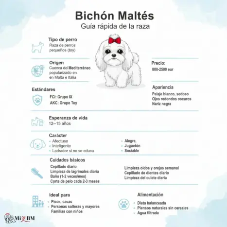 Bichón Maltés: Guía Definitiva para Amantes de la Raza 29 bichon maltes caracteristicas de raza
