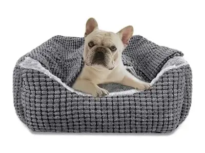 joejoy cama perro pequeño con manta