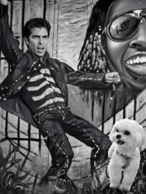 maltes elvi presli curiosidades