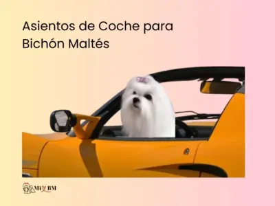 mejores asientos de coche para perros Bichón Maltés