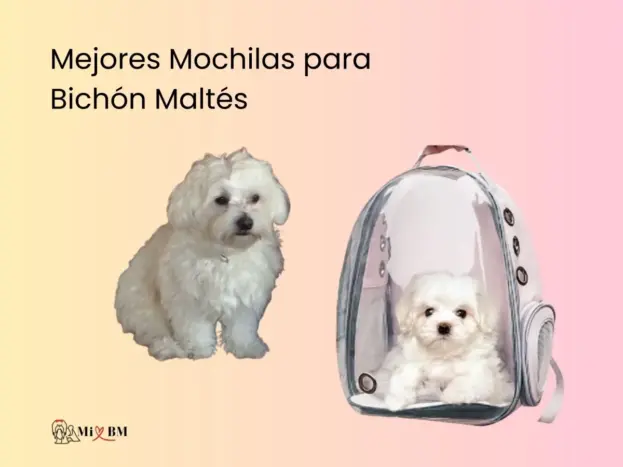 Mejores Mochilas para Bichón Maltés: Comparativa y Guía 10 mejores mochilas para perros bichón maltés