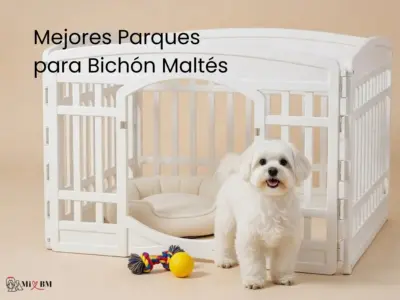 mejores parques para perros bichón maltés