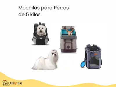 mejores mochilas para perros bichon maltes de 5 kg