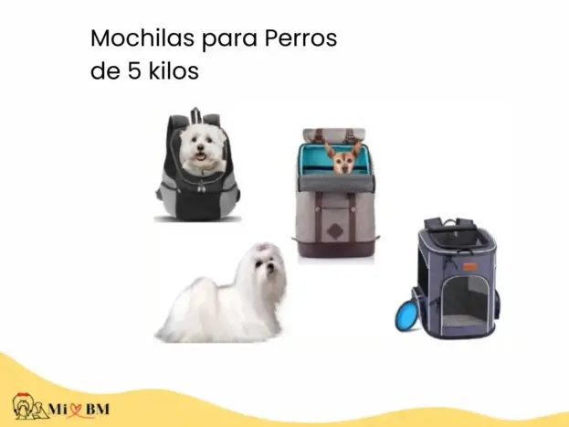 mejores mochilas para perros bichon maltes de 5 kg