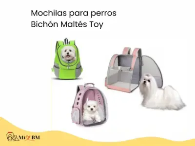 mejores mochilas para perros bichon maltes toy